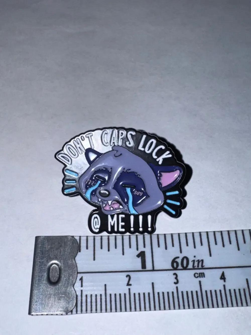 Raccoon Don’t CAPS lock at me Pin Brooch